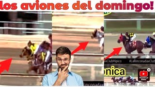 los más velocistas del Domingo algunos están para hacer la esprintada [upl. by Allebasi969]