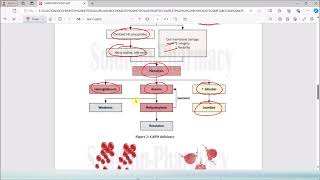 10 Glucose6Phosphate Dehydrogenase Deficiency  G6PD Deficiency Causes amp Symptoms  Biochemistry [upl. by Blancha]