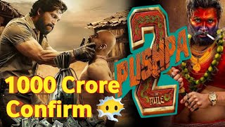 Pushpa 2 First Review Pushpa 2 The Rule 1000 Crore Confirm  Pushpa 2 Trailer  Filmi Shubham [upl. by Ellison535]