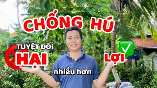 CHỐNG HÚ tuyệt đối HẠI nhiều hơn LỢI 4 nguyên nhân khiến âm thanh hú Cách chống hú hiệu quả loa [upl. by Sowell]