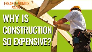 566 Why Is It So Hard and Expensive to Build Anything in America  Freakonomics Radio [upl. by Nodababus]