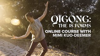 Free Qigong Course The 18 Forms shibashi Qigong Taichi [upl. by Romanas809]