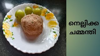 Nellikka Chammanthiനെല്ലിക്ക ചമ്മന്തി My Home Cooking [upl. by Jaycee]