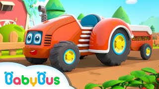 Tractorașele Colorate  Cântece educative cu mașini pentru Copii de la BabyBus [upl. by Needan]