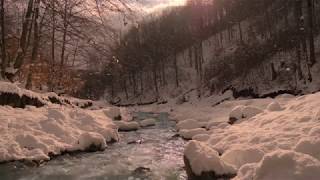 Nice Sunny Day of a Mild Winter with Relaxing Gentle Sounds of Snow Falling Near the Soothing River [upl. by Mosenthal258]