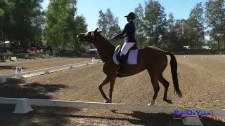 074D Sierra Stenger on Gold Fanatic Open Preliminary Dressage Galway Downs Nov 2024 [upl. by Lorna993]