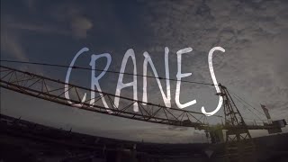 CRANES [upl. by Trahern]