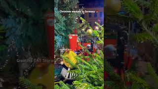 Magical Christmas markets in Germany 🇩🇪 Fürther Mittelaltermarkt 2024 christmasmarketsingermany [upl. by Fletch]