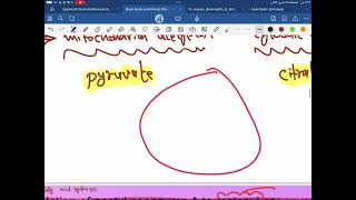 Biochemistry Lipid Metabolism second yearpart 10 [upl. by Swetiana]