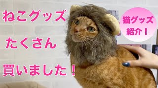 【商品紹介】ネットで買った猫の被り物がかわいすぎました！ [upl. by Maiga]