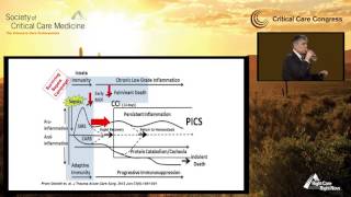 Immunoregulation During Sepsis [upl. by Nazarius]