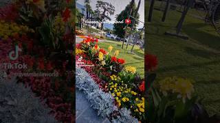 Ascona Switzerland 🇨🇭 Πανέμορφο μέρος shorts travel europe ascona switzerland [upl. by Tirma17]