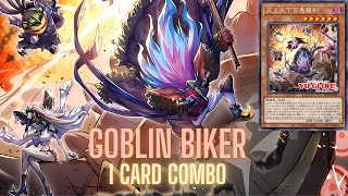 Goblin Biker  Combos amp Decklist  Post ROTA Rage of the Abyss [upl. by Airdnaxila24]