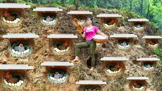 TIMELAPSE  30 Days Build Many Nest For Hens To Lay Egg  Harvest Chicken Egg Ducks Go To Sell [upl. by Yeknarf]