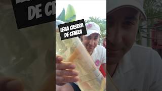 Lejía Casera Con Ceniza shorts short aprender quimica experimento casero lejia ceniza viral [upl. by Teryl307]