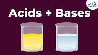 Acids and Bases  Reaction with each other  Dont Memorise [upl. by Ragen]