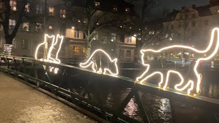 Sweden Walks Uppsala Relaxing city walk along the river and calm streets with festive lights [upl. by Dawna311]