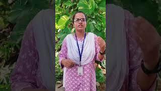 Student testimonial  VSB Engineering College  Karur [upl. by Elockin998]