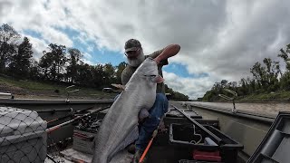 It Thundered these Catfish up from the Deep Mississippi River [upl. by Earla961]