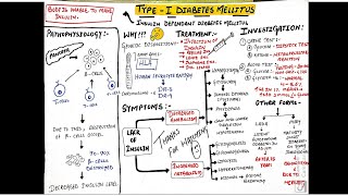 Diabetes mellitus part1  typeI diabetes mellitus  pathophysiology symptoms amp treatment [upl. by Enelaehs]