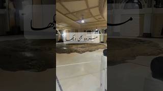 madina naat sharif status subscribe shorts I HAFIZNAZIR786 [upl. by Omland]