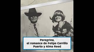 quotPeregrinaquot La historia de Felipe Carrillo Puerto y Alma Reed [upl. by Letsirc]