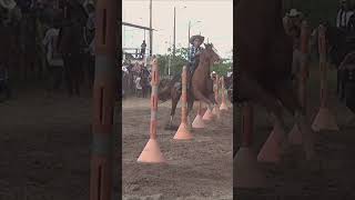 PIEL ROJA shortvideo caballos vaqueros rodeo horse caballoscorriendo [upl. by Opalina]