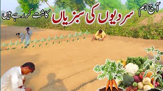 Sardiyon Ki Sabzi 🥕🍆 Kash  Tubwell Pey Sabzi Laga di  Beautiful Village Life Scene villagelife [upl. by Zolly]