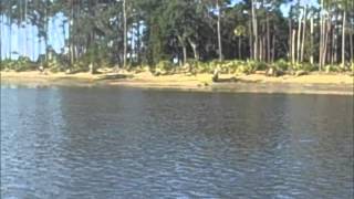 Fishing the Skidaway Narrows [upl. by Annemarie370]