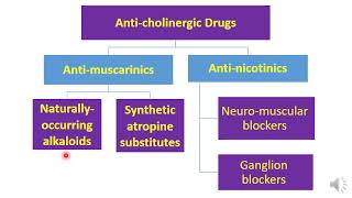 parasympatholytics Medicine [upl. by Aratihc409]