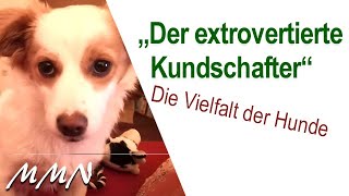 Die Vielfalt der Hunde  Der extrovertierte Kundschafter  Portrait  von Maja Nowak [upl. by Kessia]