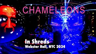 The Chameleons In Shreds Webster Hall 2024 [upl. by Afaw]