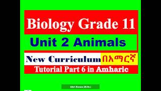 New Curriculum Biology Grade 11 Unit 2 Animals Tutorial Part 6 in Amharic [upl. by Fuchs]