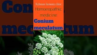 Homoeopathic medicine Conium meculatum [upl. by Tobi]