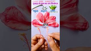 description of parts of flower। flower parts । फूल के भाग music love travel practicing bio [upl. by Brenna65]