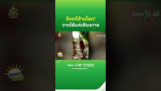 รักแท้ข้ามโลก ฝรั่งกลับมาดูแลเจดีย์เก็บอัฐิเมียทุกปี  ThairathTV [upl. by Enilra]