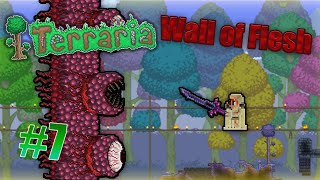 Wall of Flesh  Terraria  Episodul 7 [upl. by Anahpets]