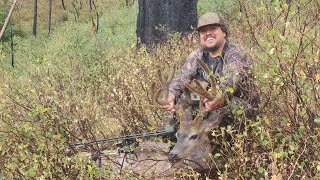 CALIFORNIA BLACKTAIL DEER ARCHERY HUNT 4X4 DOWN 2024 [upl. by Nageam]