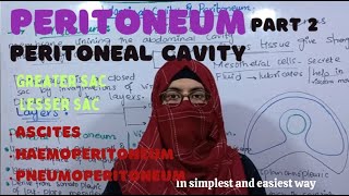 Peritoneal Cavity  part 2 Greater sac Lesser sac clinical problems ayeshamedicaleducation [upl. by Heer]