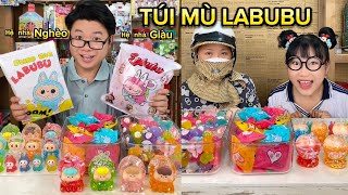 Xé Túi Mù Labubu Hệ Nhà Giàu vs Nhà Nghèo Kiểu [upl. by Ahseia]