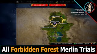 All 3 Forbidden Forest  Merlin Trials Hogwarts Legacy [upl. by Opalina]