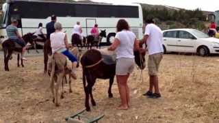 Donkeys ridding Cyprus 24052013 [upl. by Gleda]