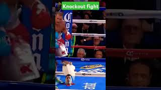 Sergey kovalev vs Bernard Hopkins hightlights knockout fight boxing shortvideo knockout [upl. by Notlim]