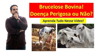 Brucelose Bovina  Aprenda Tudo Sobre Essa Importante Doença [upl. by Otrebide]