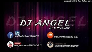 DJ ANGEL  Fevicol Se  Dabangg 2 SEGA MIX [upl. by Burford]