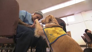 San Quentin inmates find new purpose by training future service dogs [upl. by Ennasirk]