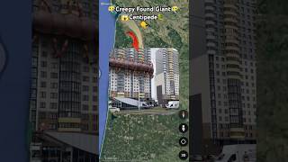 Creepy Found Giant Centipede 😱🤯 on google maps and google earth 🌎 shots hrgoogleearth [upl. by Job]