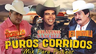 Chalino Sanchez Beto Quintanilla y El Tigrillo Palma  Puros Corridos Mix Para Pistear [upl. by Buddy]