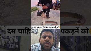 पाइप से सांप पकड़ा।Snake catch with pipe🐍snake cobra nagin catch viral video collab reaction [upl. by Cavanagh]