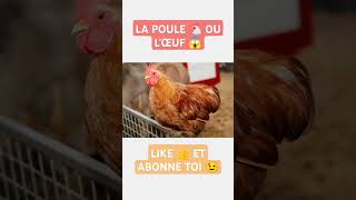 LA POULE 🐔 OU LŒUF 😱foryou pourtoi astrology [upl. by Byran532]